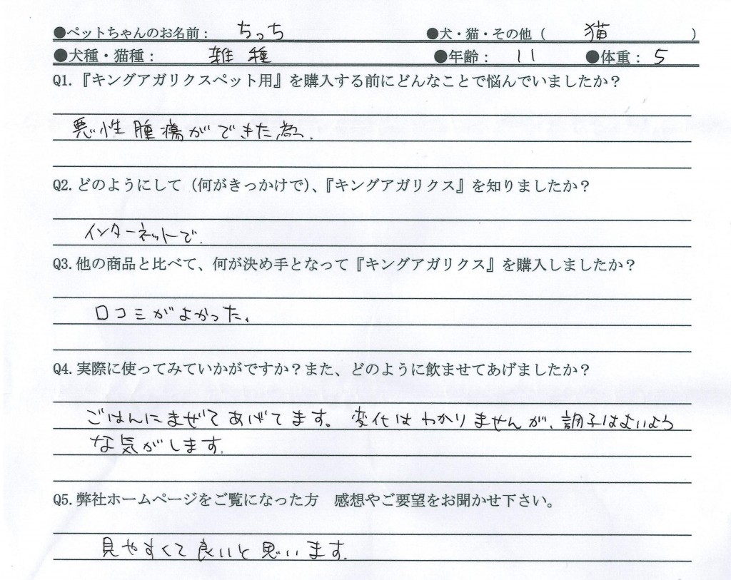 猫　悪性腫瘍
